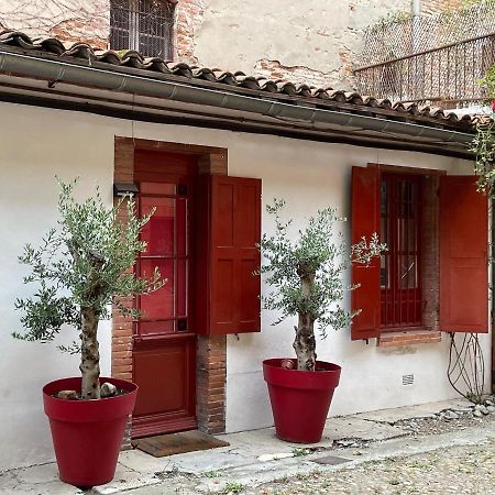 Petite Chartreuse Calme En Plein Coeur De Toulouse Apartment Ngoại thất bức ảnh