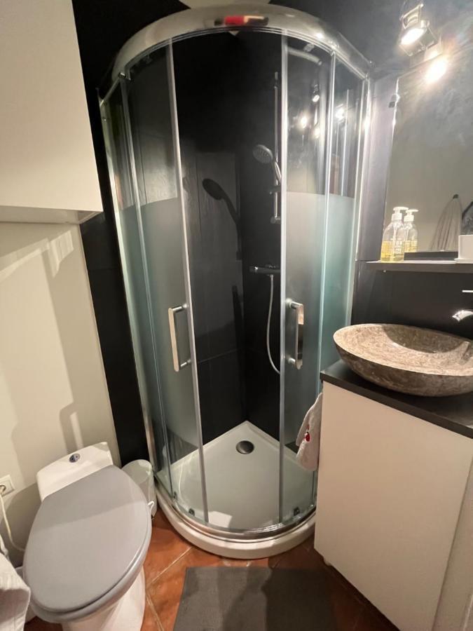 Petite Chartreuse Calme En Plein Coeur De Toulouse Apartment Ngoại thất bức ảnh