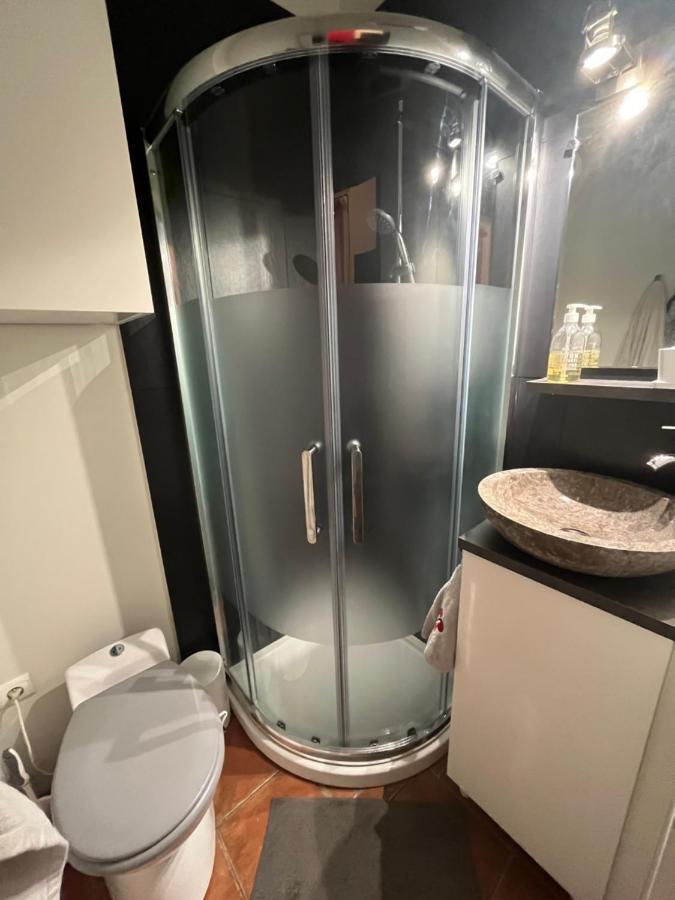 Petite Chartreuse Calme En Plein Coeur De Toulouse Apartment Ngoại thất bức ảnh